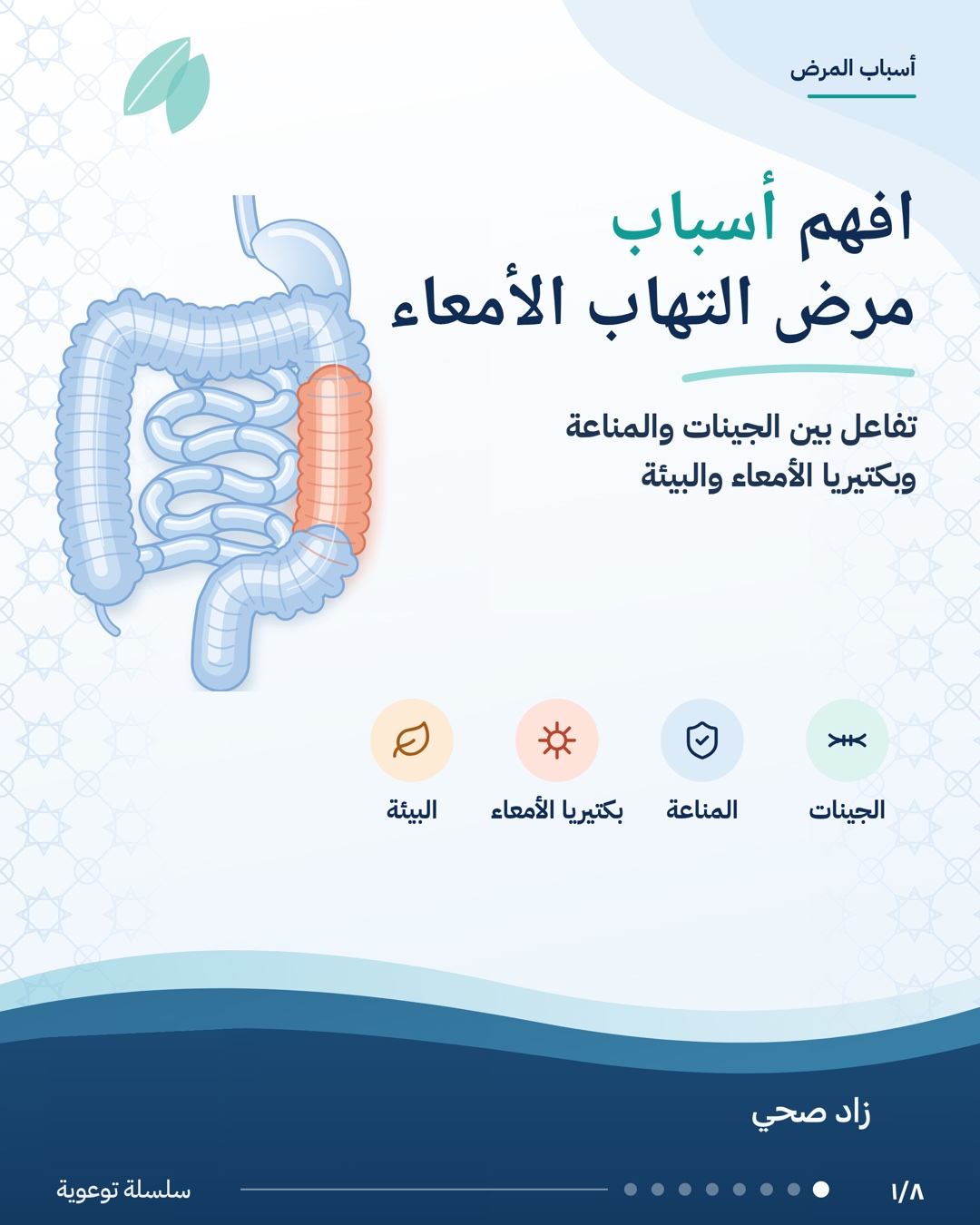 افهم أسباب مرض التهاب الأمعاء، الشريحة 1 من 8